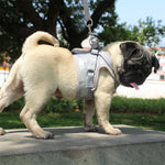 Reflective Pet Walking Jacket Leash