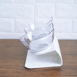 Water and Food Bowl Set with Raised Stand