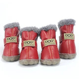 Colorful & Stylish Dog Boots