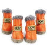 Colorful & Stylish Dog Boots