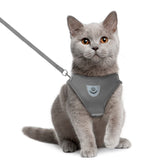 Reflective Pet Walking Jacket Leash