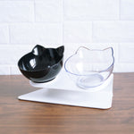 Water and Food Bowl Set with Raised Stand