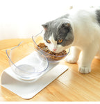 Water and Food Bowl Set with Raised Stand