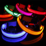 Adjustable LED Pet Collar