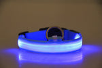 Adjustable LED Pet Collar