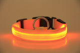 Adjustable LED Pet Collar