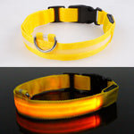 Adjustable LED Pet Collar