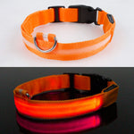 Adjustable LED Pet Collar