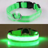 Adjustable LED Pet Collar