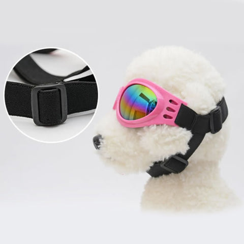 New Arrival - Colorful & Adjustable Dog Sunglasses