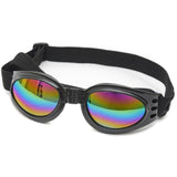 New Arrival - Colorful & Adjustable Dog Sunglasses