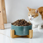 Best Seller - Colorful Ceramic Bowl Feeder with Wood Stand