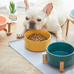 Best Seller - Colorful Ceramic Bowl Feeder with Wood Stand