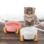 Best Seller - Colorful Ceramic Bowl Feeder with Wood Stand