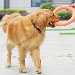 New Arrival - Dog Training & Game Ring