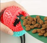 Interactive Flexible Dog Molar Bite Toy