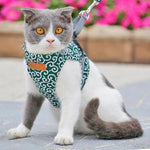 Cat Harness Vest Collar Walking Leash